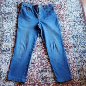 Gloria Vanderbilt Denim Jeans Size 8 Amanda 2.0 Slim Leg Style